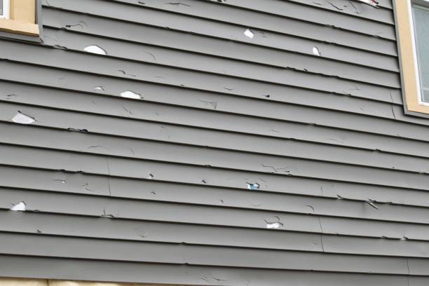 Best Vinyl Siding Installation  in Embreeville, TN